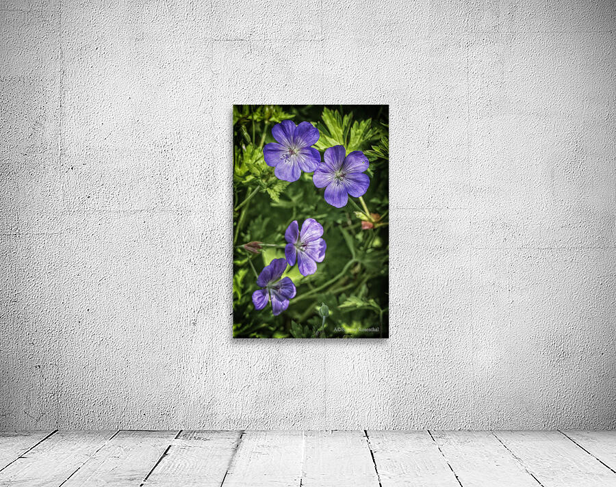 purple flowers Wall Preview