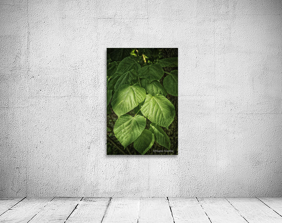 plant study Wall Preview