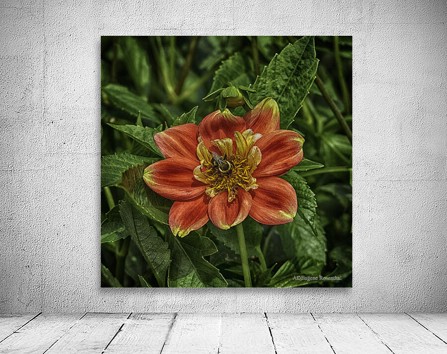 visitor two Wall Preview