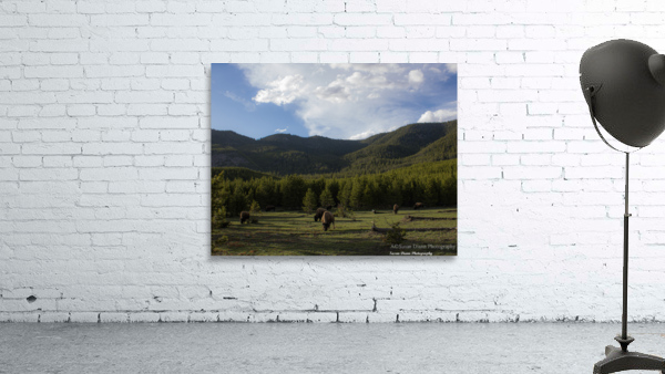 Bison Valley Wall Preview