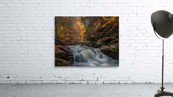Ricketts Glen in the fall 2 by Imma Barrera