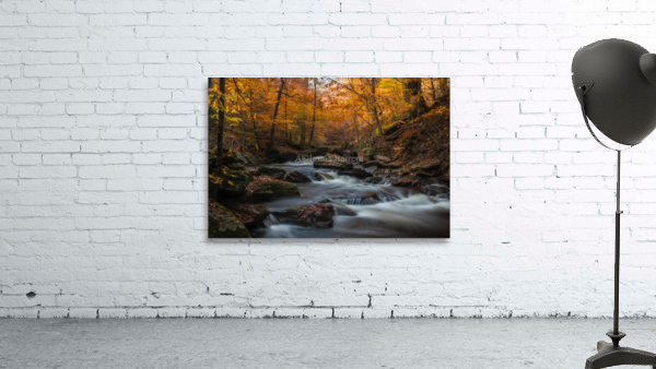 Ricketts Glen in the fall by Imma Barrera