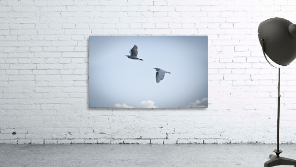 Birds duo Wall Preview