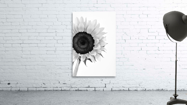 Hello Sunshine 2 Wall Preview