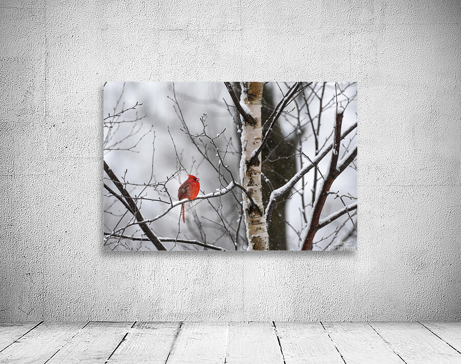 Une tache rouge by Sophie Thibault