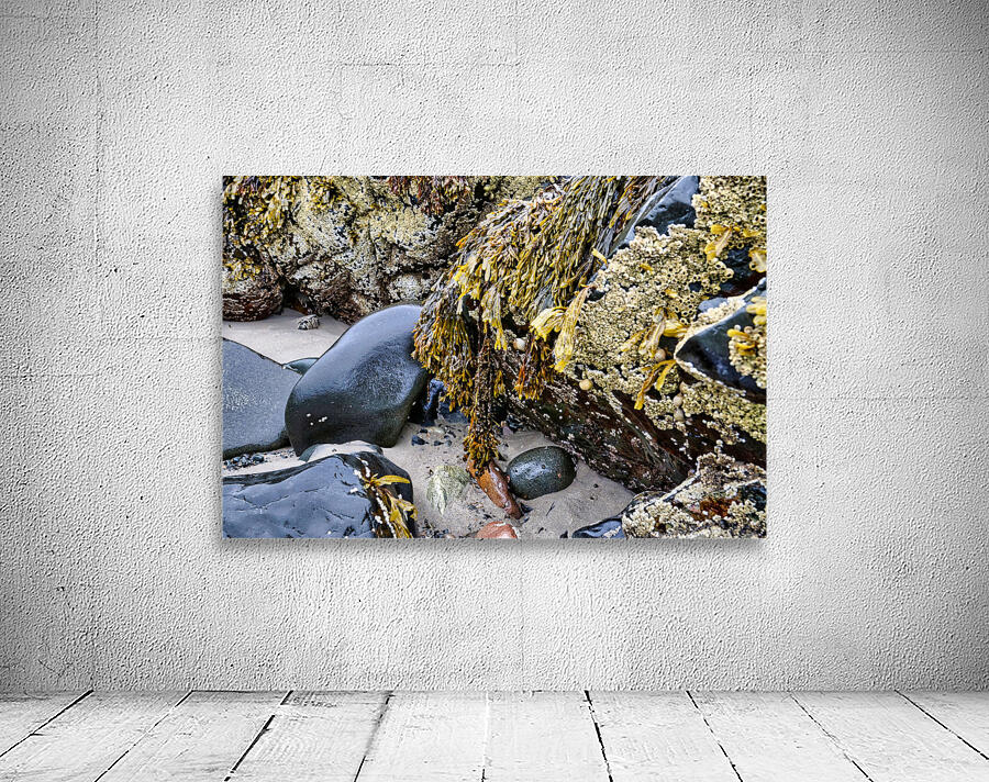 Sea Coast Wall Preview