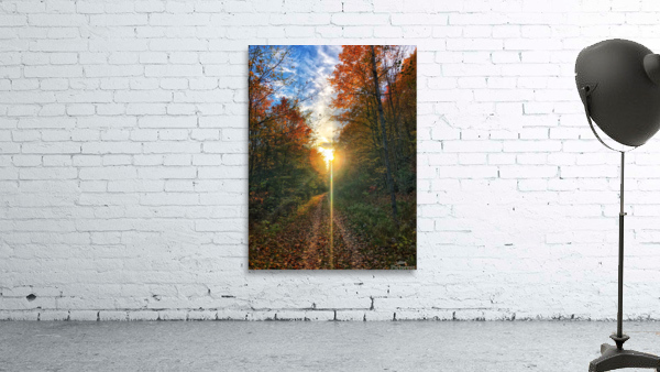 Fall Trail Wall Preview