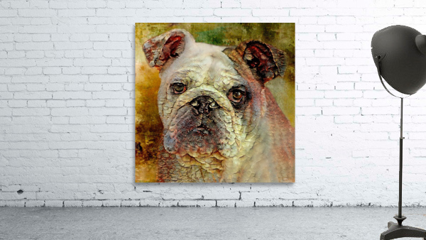 Portrait Of An English Bulldog Wall Preview