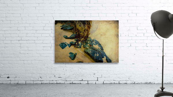  Into the Sand and Sea  Wall Preview