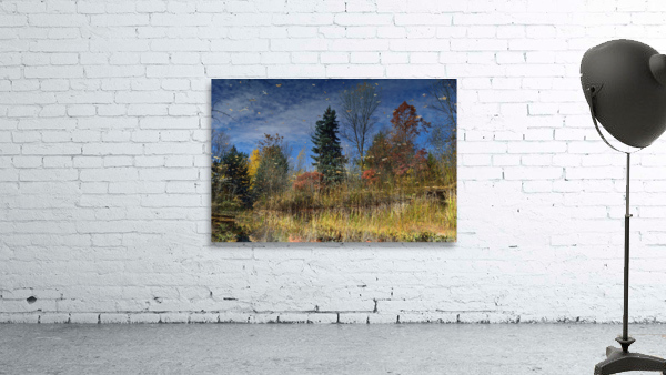Magical Fall Colors by Michelle K Wood