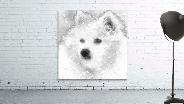  American Eskimo Snow Baby Wall Preview