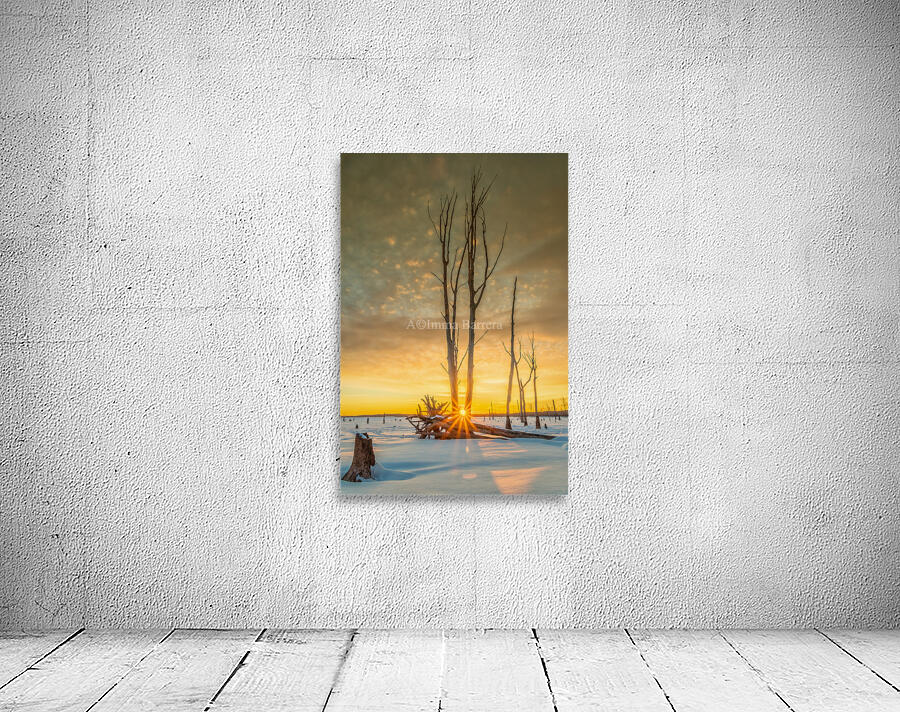 Sunrise at Manasquan  by Imma Barrera