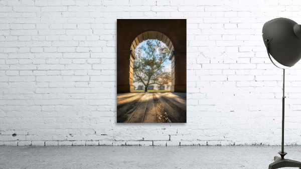 Let the light in by Imma Barrera