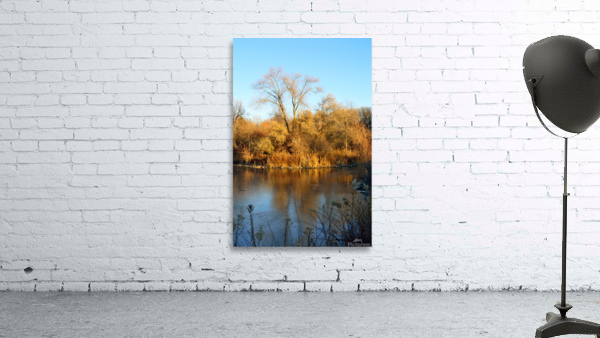 Warm and Cool - fall colors reflected on frozen pond Wall Preview