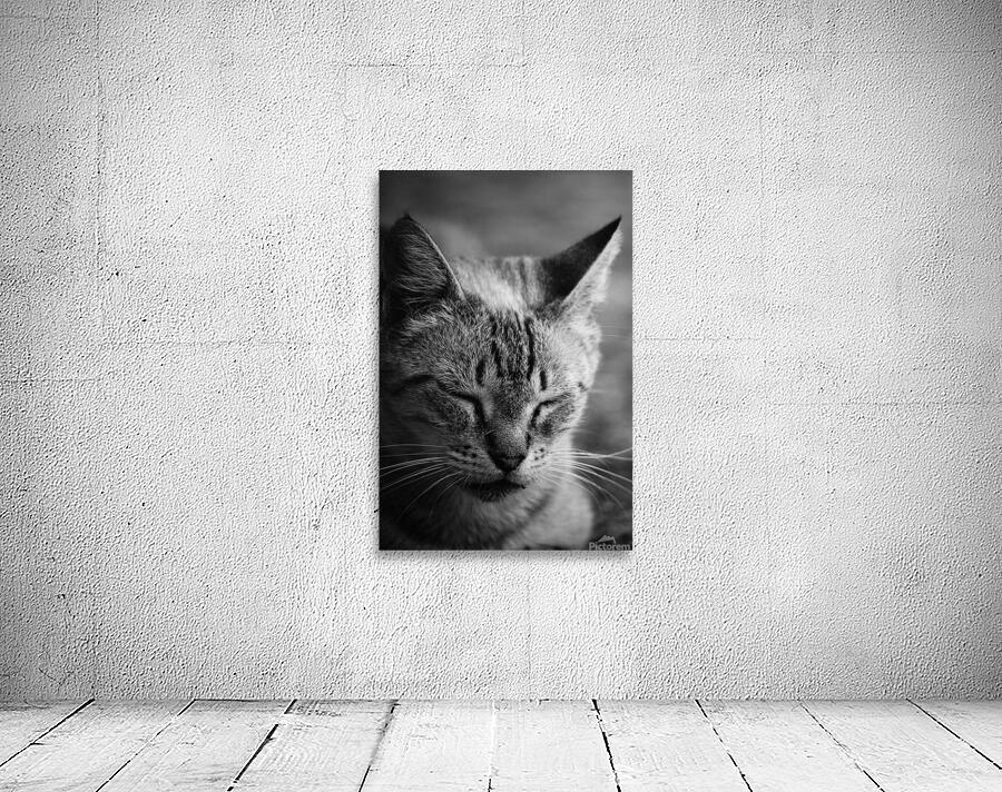 Close to the sunlight Wall Preview