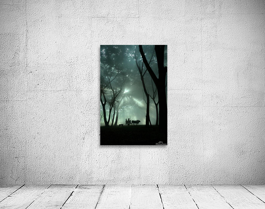 oxcart silhouette by 1x
