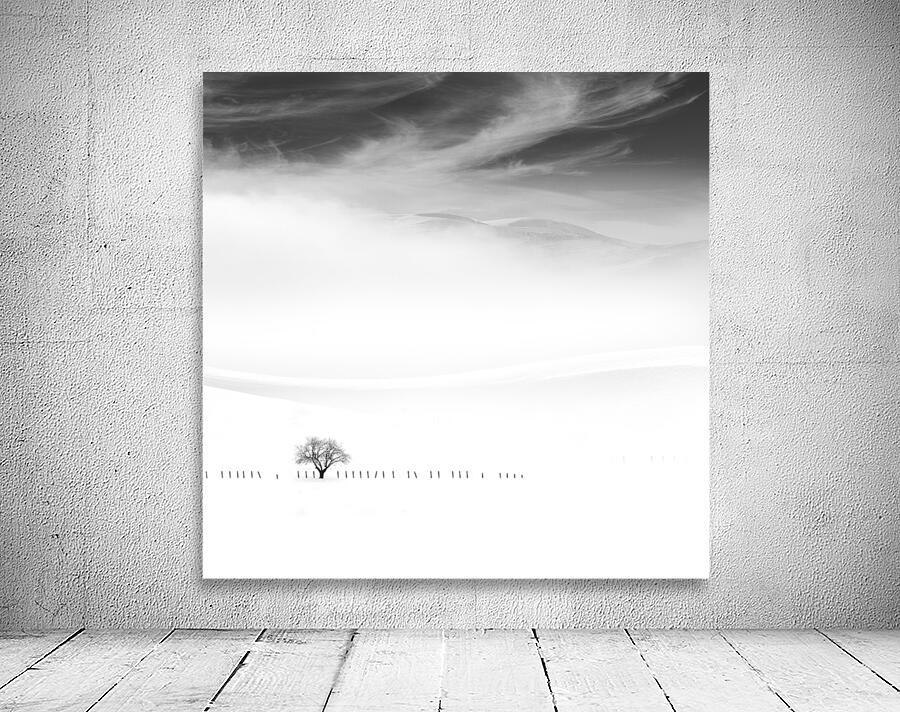 Poems of silence by 1x