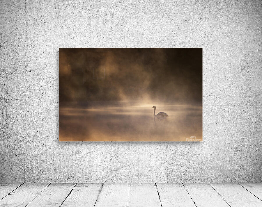 Foggy morning by 1x