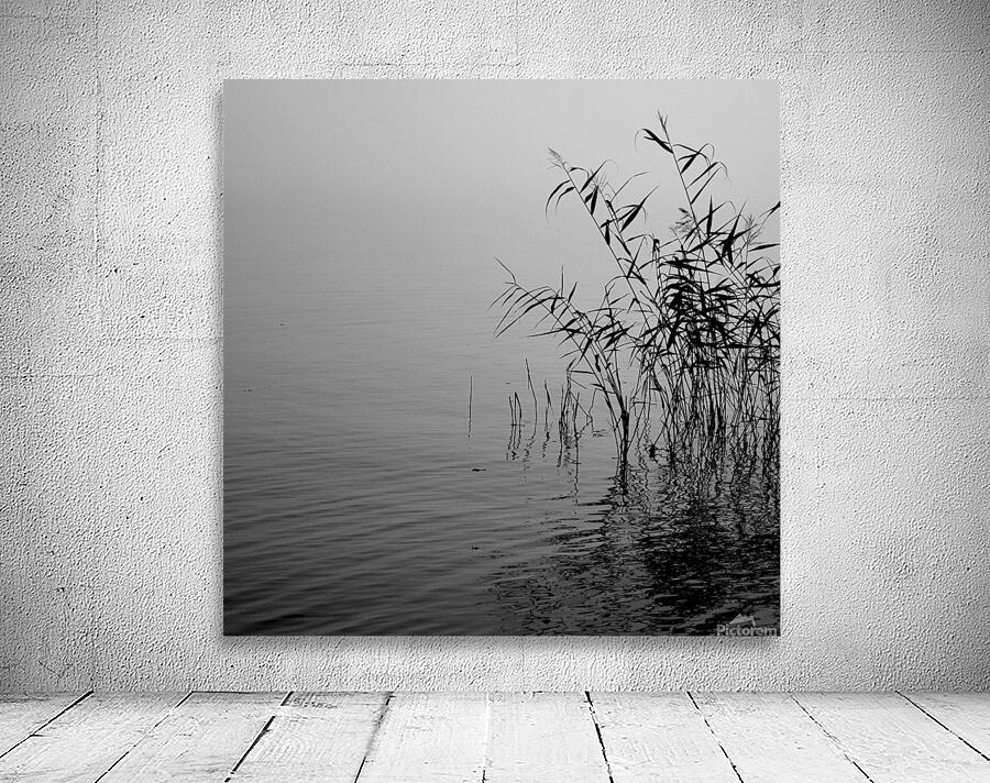 Mist over the lake 2021 Wall Preview