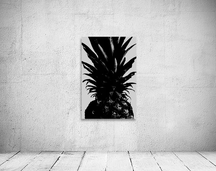 Pineapple bw by 1x
