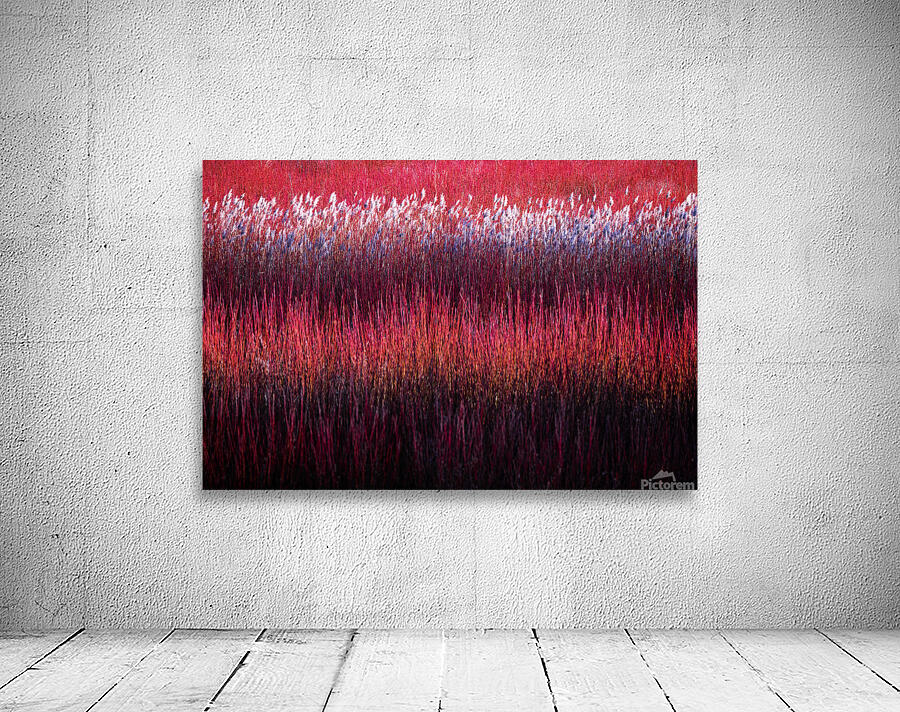The wicker frontiers by 1x