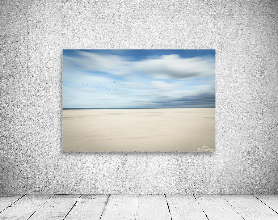 birds at the seaside Wall Preview