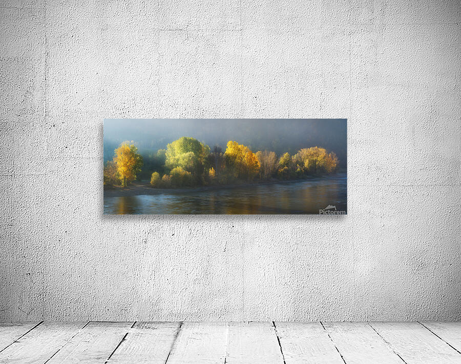 side of light by 1x