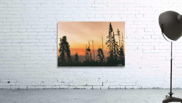 Nature sauvage Wall Preview