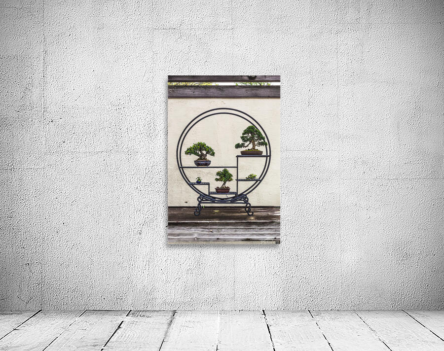 Bonsai Display from the United States National Arboretum Wall Preview