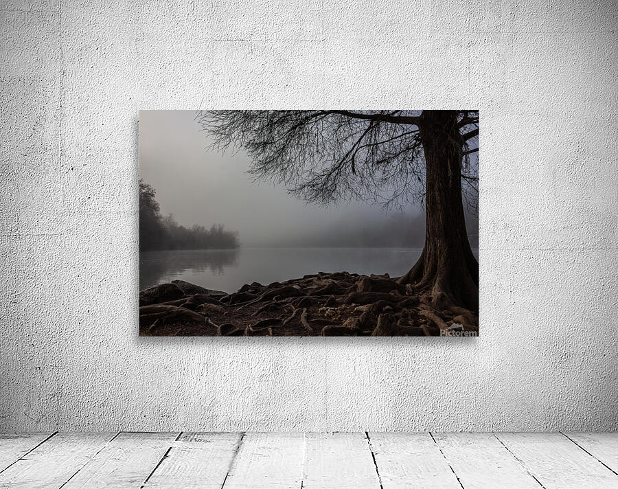 Foggy Morning at Red Bud Isle in Austin  Texas Wall Preview