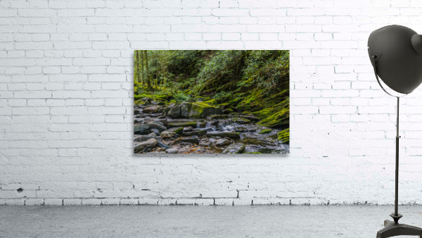 Alone With The Sounds of Running Water in Alum Cave Trail Wall Preview