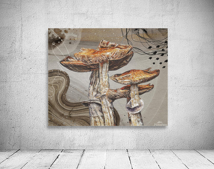 Magic Mushroom Wall Preview