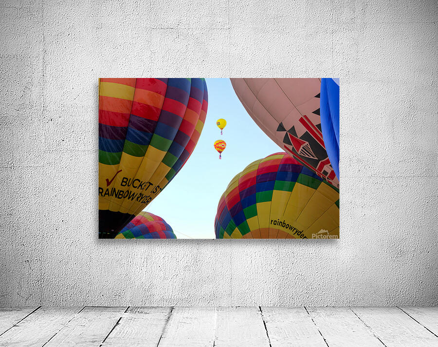 Balloon of the Day by Susan Tregoning