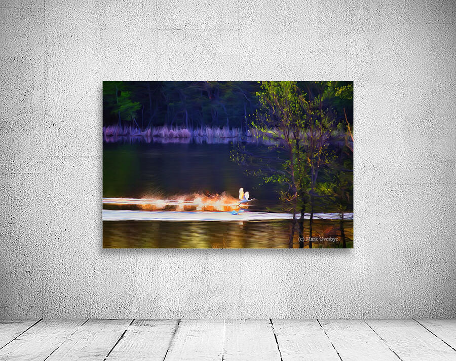 Cleared For Take Off Wall Preview