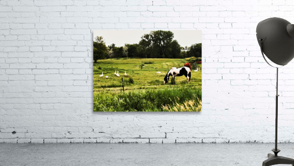 Slow Down Wall Preview