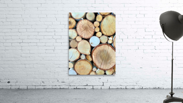 Wood You Like To See Inside Wall Preview