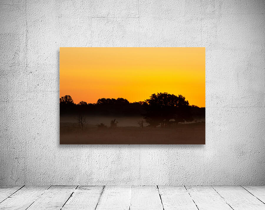 Grassland Sunrise 3 Wall Preview