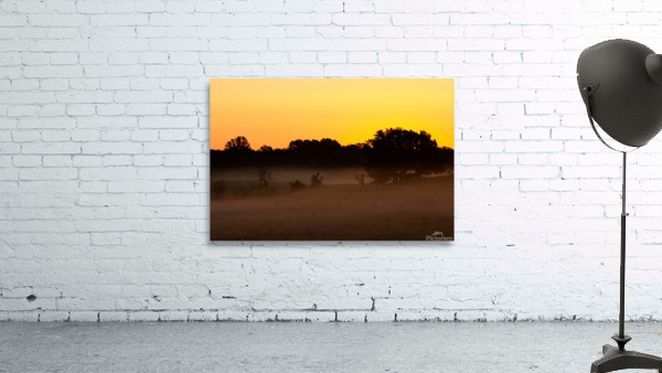 Grassland Sunrise 1 Wall Preview