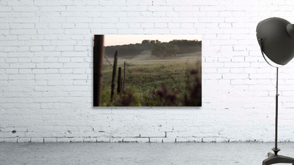 Foggy Fenceline Wall Preview