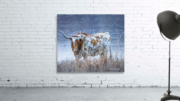 Wrong Way  Wall Preview