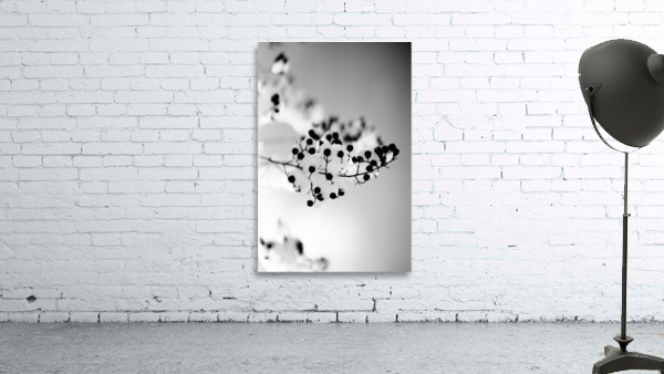 CHELSEA WINTER view 2