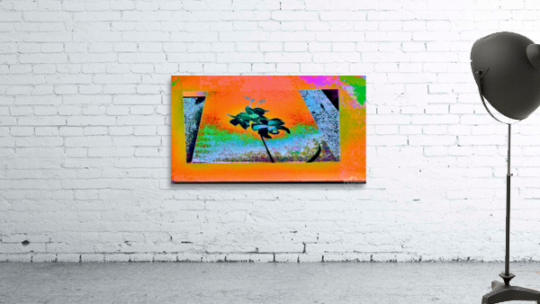 ORANGE ORCHID  by desetoiles10