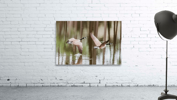 B7DCA13C 2177 46DC ABD2 30CB7D01CFE2 Wall Preview