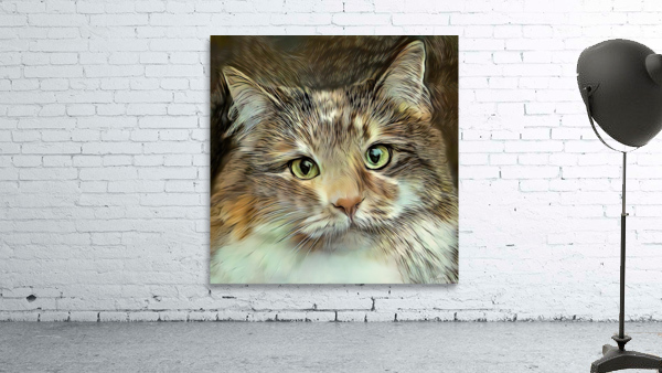 Emily An American Longhair Cat Wall Preview