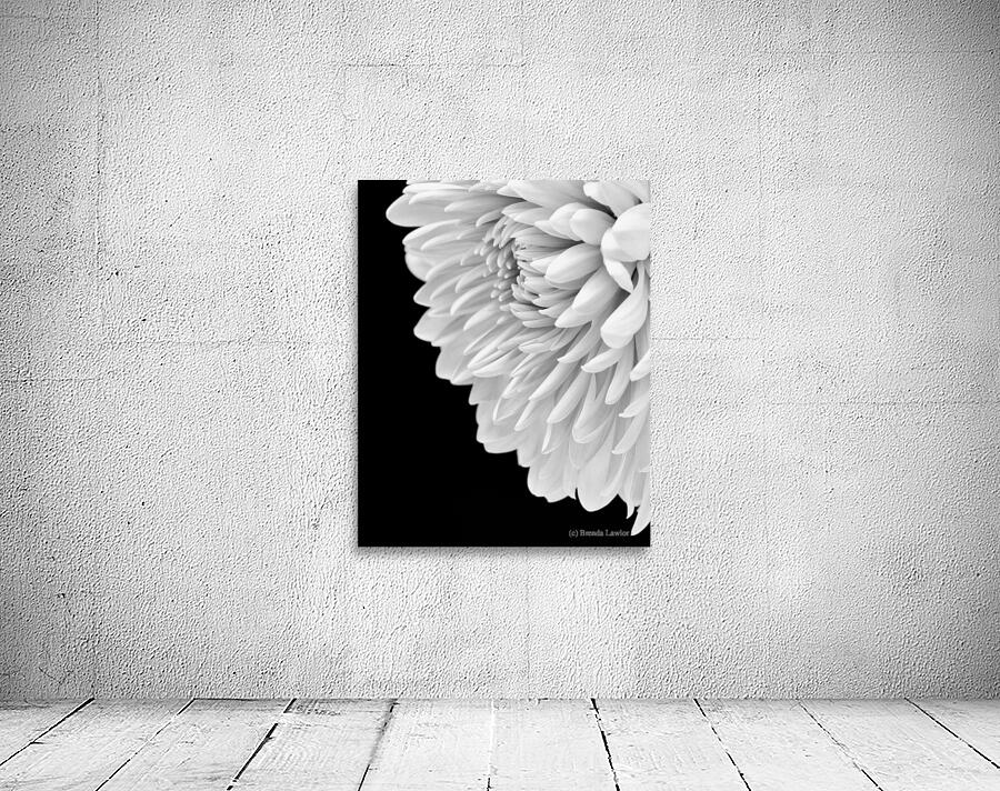 Hello Gorgeous  Wall Preview