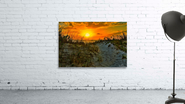 6289408E 001D 431B A222 F59D88C2962D Wall Preview