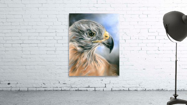 Red Tailed Hawk Wall Preview