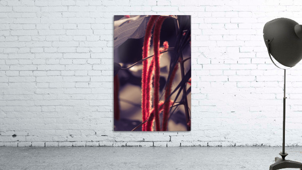 IMG_2021 Wall Preview