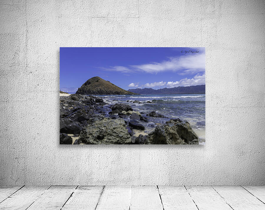 Hawaii Island Wall Preview