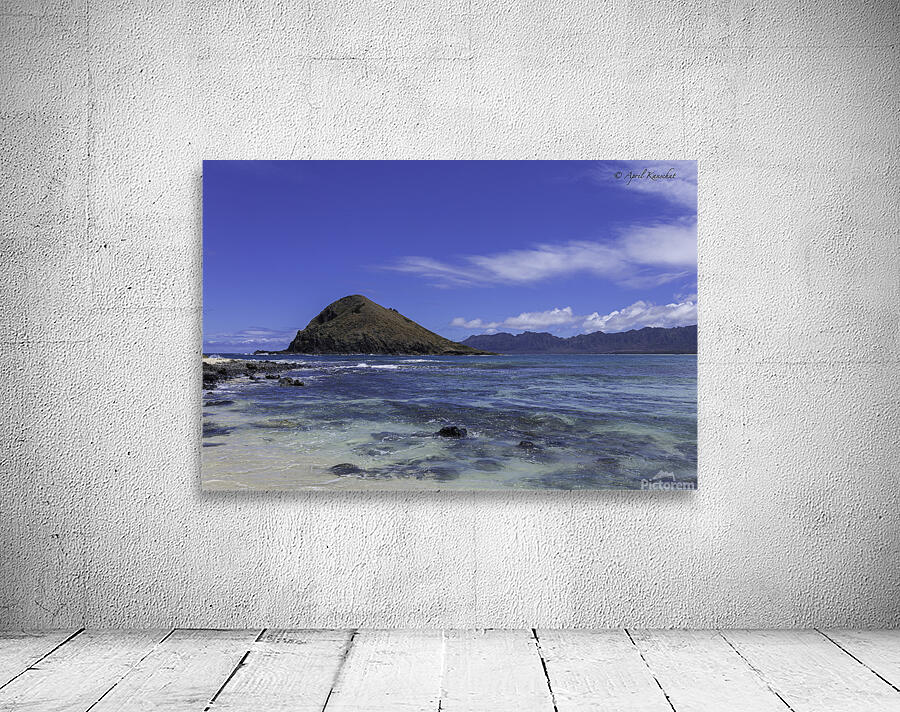 Hawaii Island Wall Preview